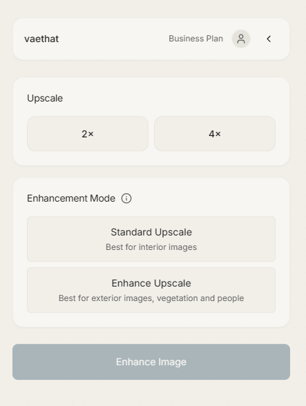 Enhancement modes panel showing 2x and 4x upscale options with Standard and Enhance modes