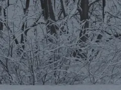 Winter Architecture - Detail - Before