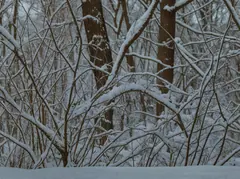 Winter Architecture - Detail - After